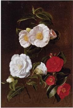 unknow artist Floral, beautiful classical still life of flowers 028 Spain oil painting art